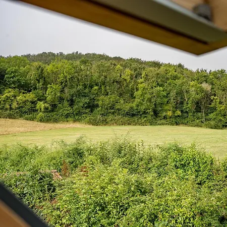 Woodview - Cosy 1840s In Chew Valley And Mendip Aonb Holiday home *