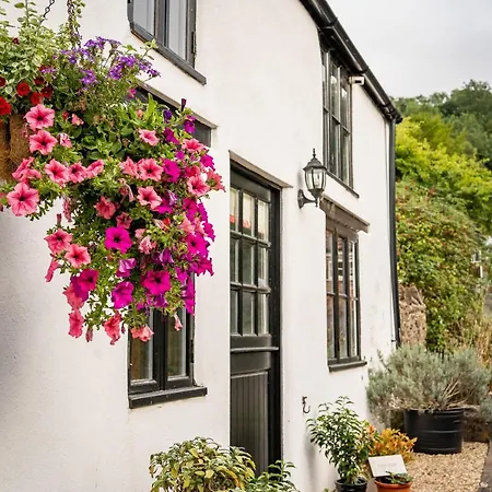 Woodview - Cosy 1840s In Chew Valley And Mendip Aonb Holiday home *