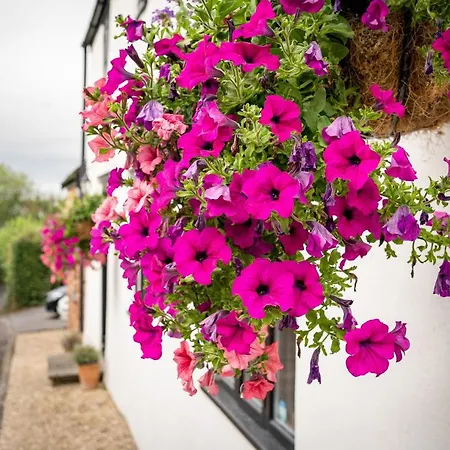 Woodview - Cosy 1840s In Chew Valley And Mendip Aonb * Compton Martin