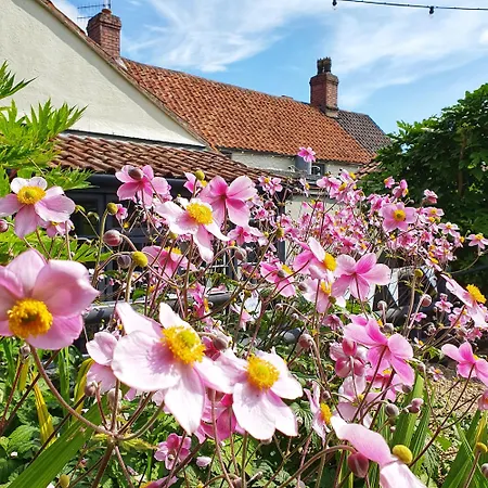 Woodview - Cosy 1840s In Chew Valley And Mendip Aonb * Compton Martin
